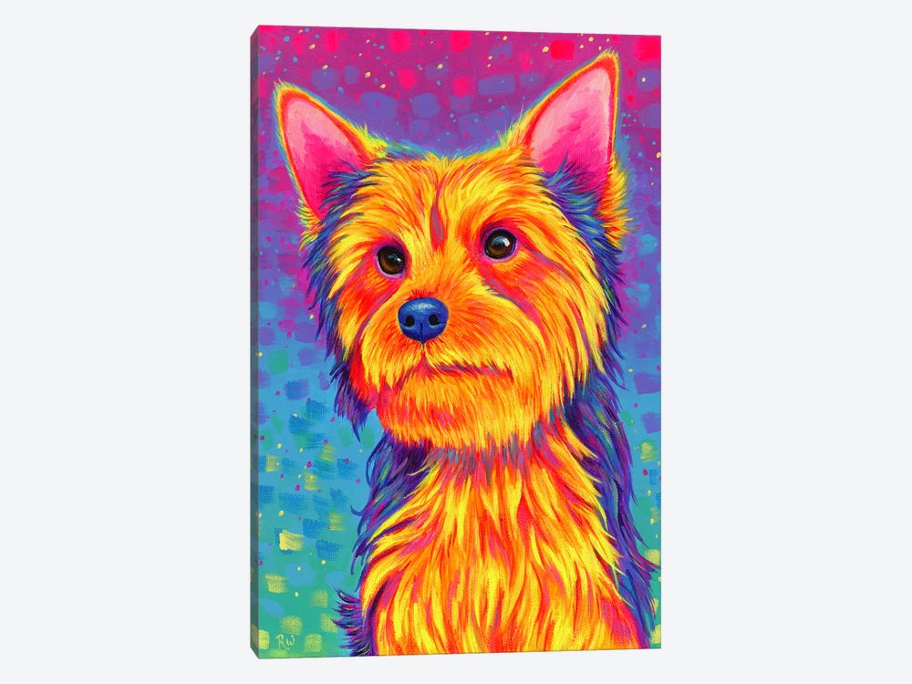 Yorkshire Terrier by Rebecca Wang 1-piece Canvas Wall Art