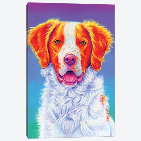Brittany Spaniel Canvas Print #RBW130} by Rebecca Wang Canvas Art Print