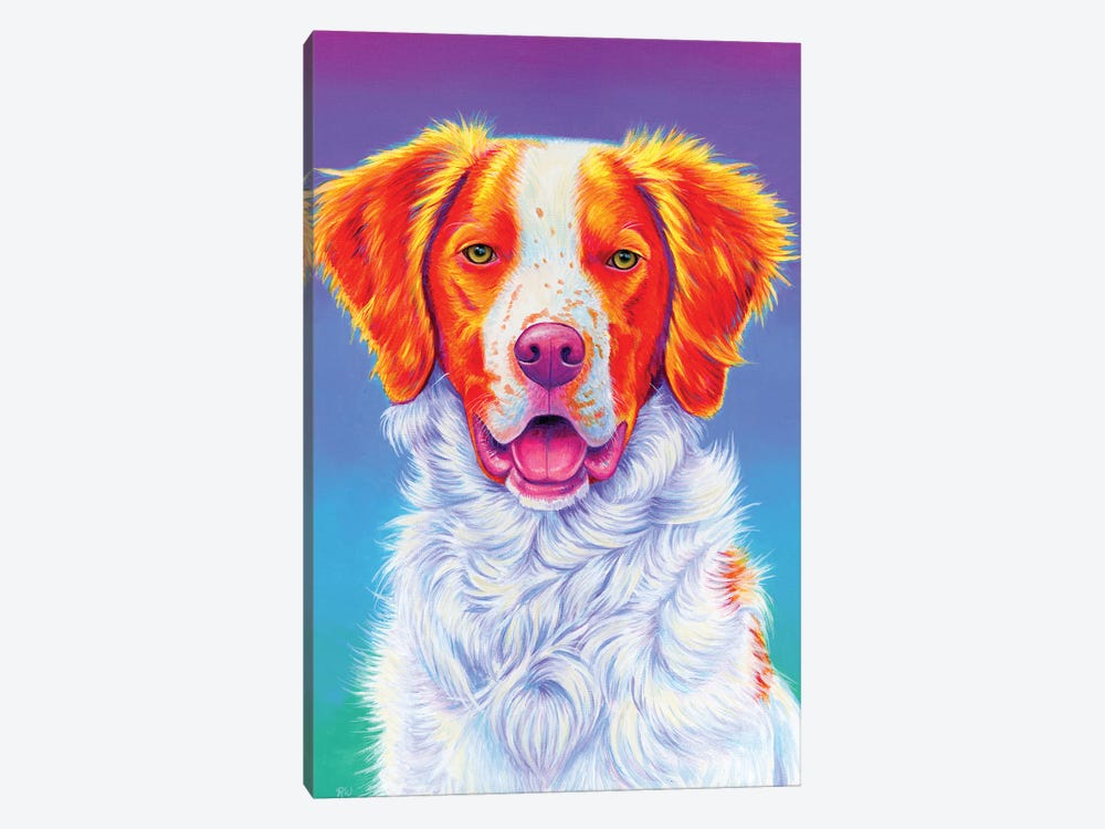 Brittany Spaniel by Rebecca Wang 1-piece Canvas Print