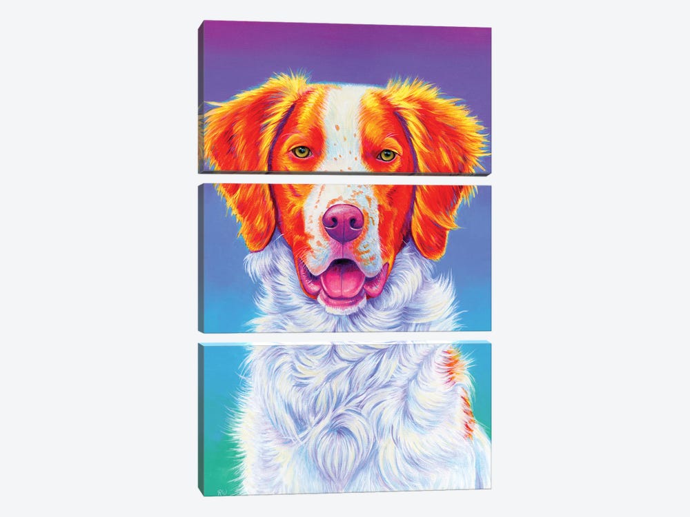 Brittany Spaniel by Rebecca Wang 3-piece Canvas Print