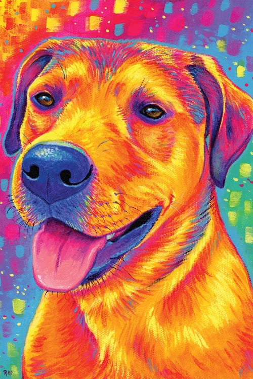 Colorful Dog