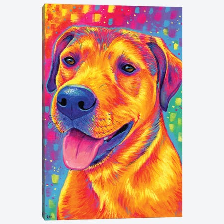 Colorful Dog Canvas Print #RBW132} by Rebecca Wang Canvas Art Print