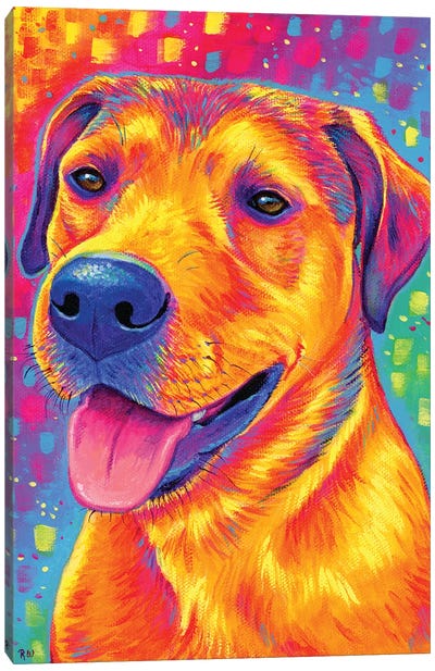Colorful Dog Canvas Art Print - Rebecca Wang