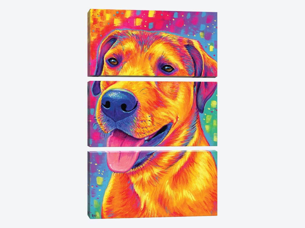 Colorful Dog by Rebecca Wang 3-piece Art Print