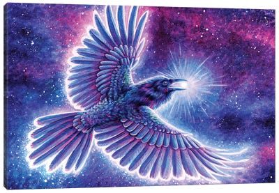 Raven Placing The Stars Canvas Art Print - Raven Art