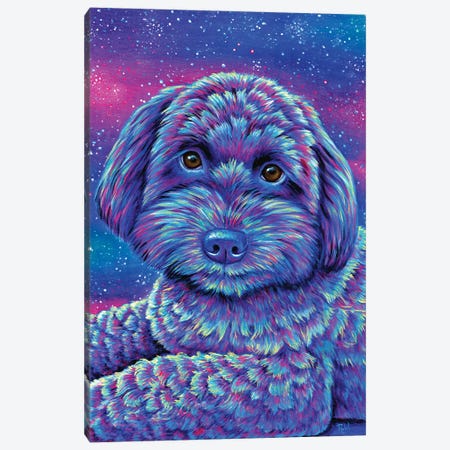 Starry Schnoodle Canvas Print #RBW135} by Rebecca Wang Canvas Artwork
