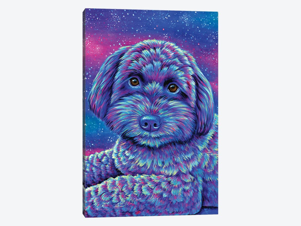 Starry Schnoodle by Rebecca Wang 1-piece Canvas Artwork