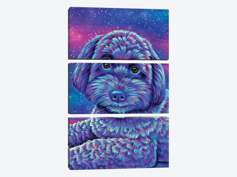 Starry Schnoodle by Rebecca Wang 3-piece Canvas Art