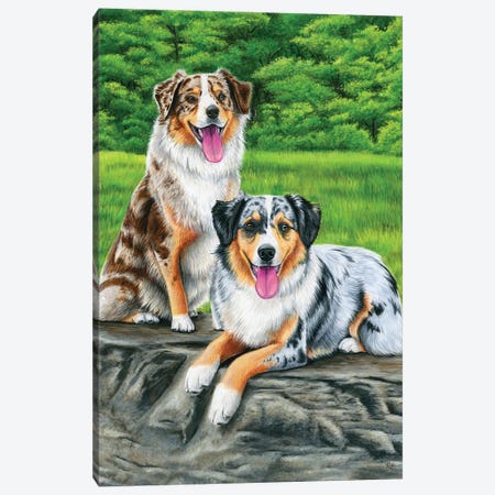 Two Australian Shepherd Dogs Canvas Print #RBW136} by Rebecca Wang Canvas Artwork