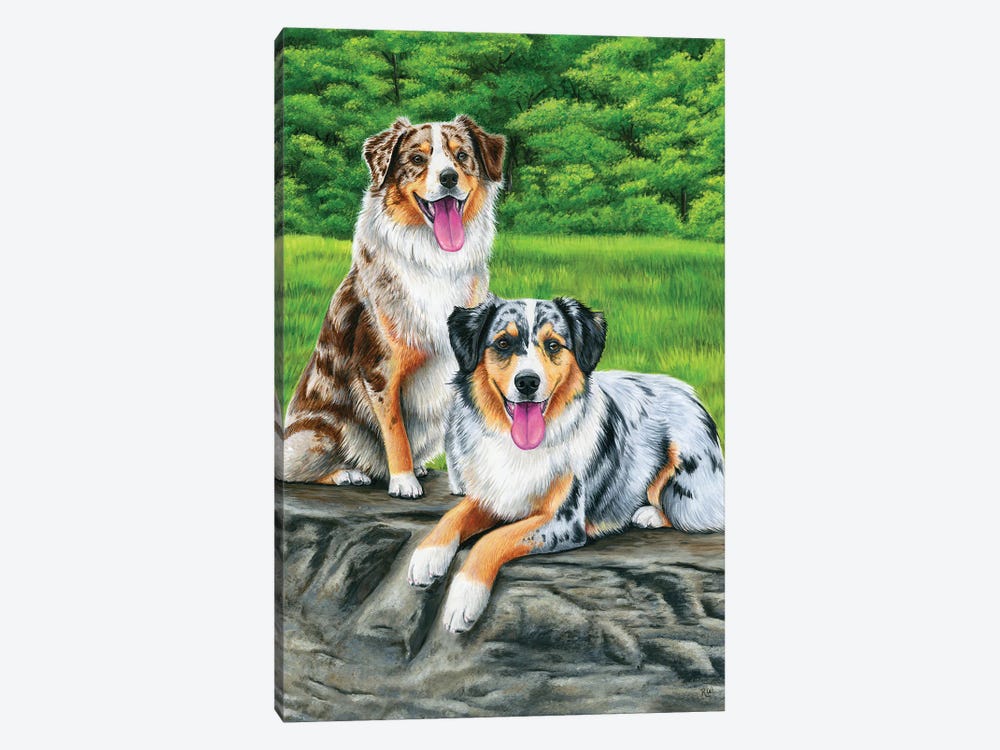 Two Australian Shepherd Dogs by Rebecca Wang 1-piece Canvas Art Print