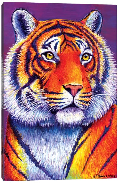 Fiery Beauty - Bengal Tiger Canvas Art Print - Rebecca Wang