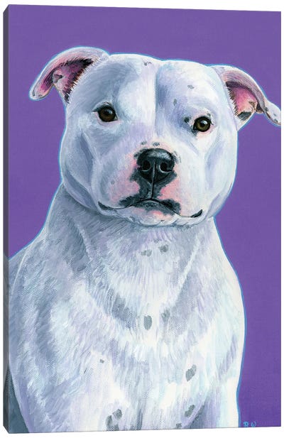 White Staffordshire Bull Terrier On Purple Canvas Art Print - Rebecca Wang