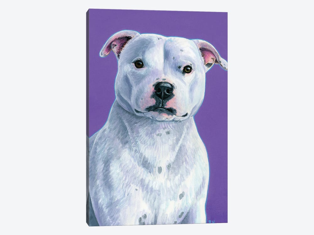 White Staffordshire Bull Terrier On Purple by Rebecca Wang 1-piece Canvas Print