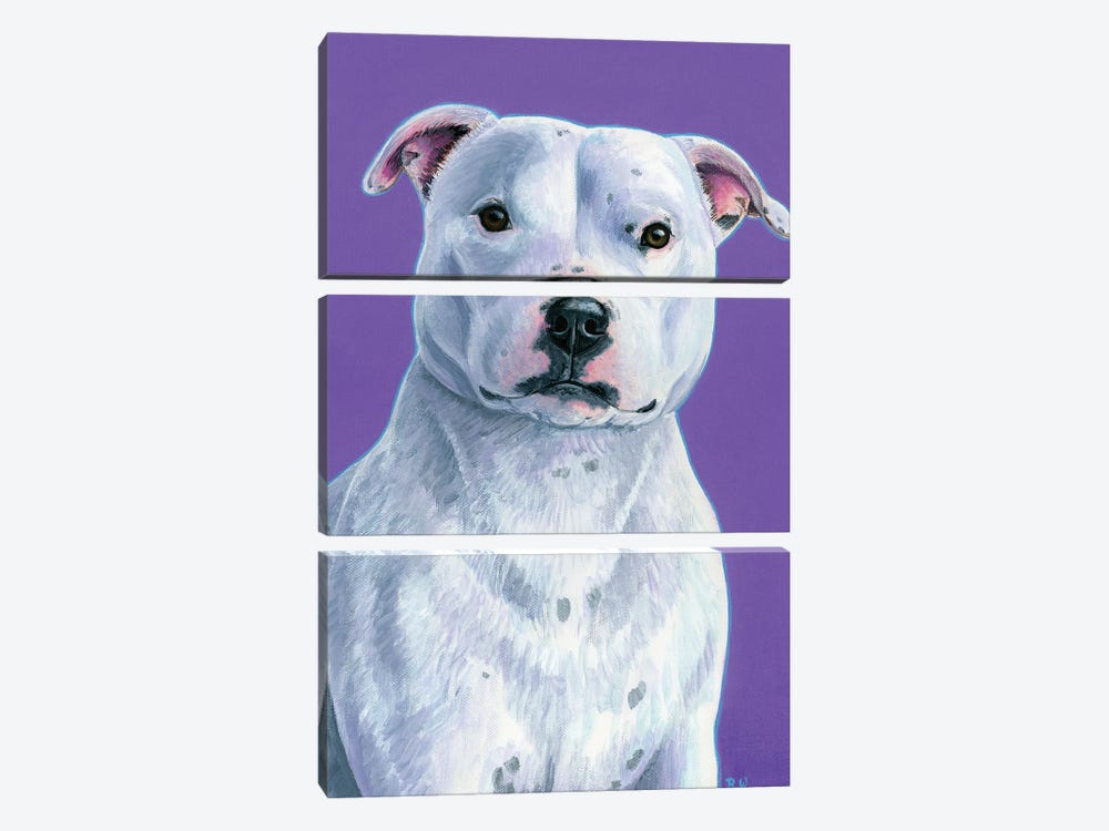 White Staffordshire Bull Terrier On Purple by Rebecca Wang 3-piece Canvas Print