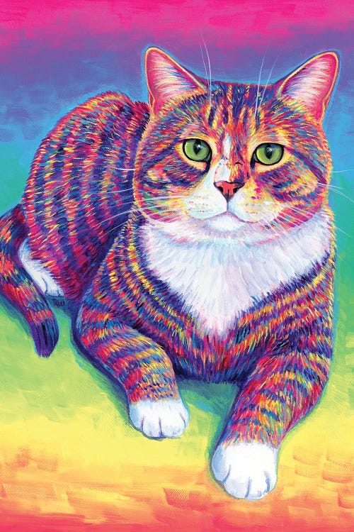 Rainbow Brown Tabby Cat