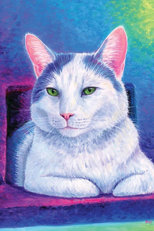 Rainbow White Cat