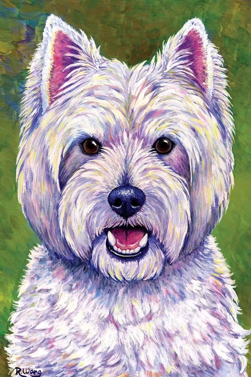 Happiness - West Highland White Terrier