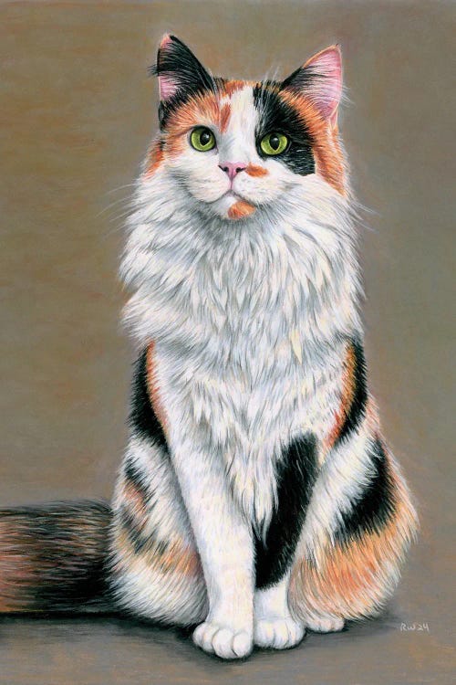 Calico Cat