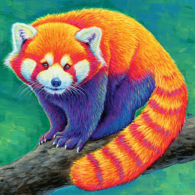 Rainbow Red Panda