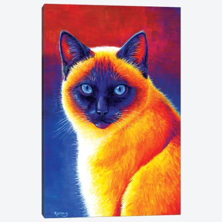 Jewel of the Orient - Siamese Cat Canvas Print #RBW17} by Rebecca Wang Canvas Art Print