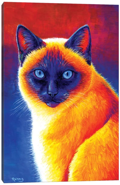 Jewel of the Orient - Siamese Cat Canvas Art Print - Rebecca Wang