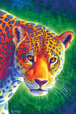 Light in the Rainforest - Jaguar Canvas Print | Rebecca Wang | iCanvas