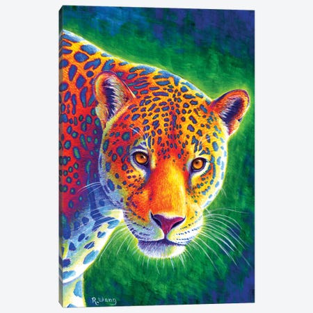 Light in the Rainforest - Jaguar Canvas Print #RBW18} by Rebecca Wang Canvas Art