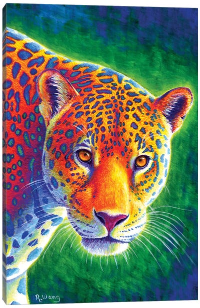 Light in the Rainforest - Jaguar Canvas Art Print - Rebecca Wang