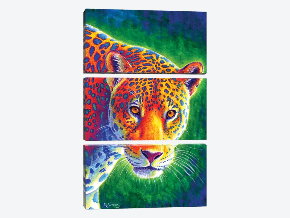 Light in the Rainforest - Jaguar by Rebecca Wang 3-piece Canvas Artwork