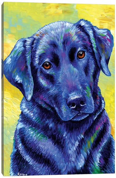 Loyal Companion - Labrador Retriever Canvas Art Print - Rebecca Wang