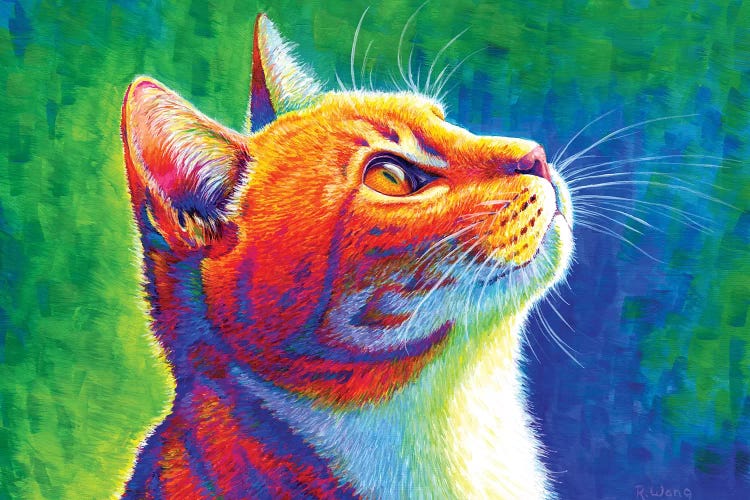 Anticipation - Rainbow Tabby Cat