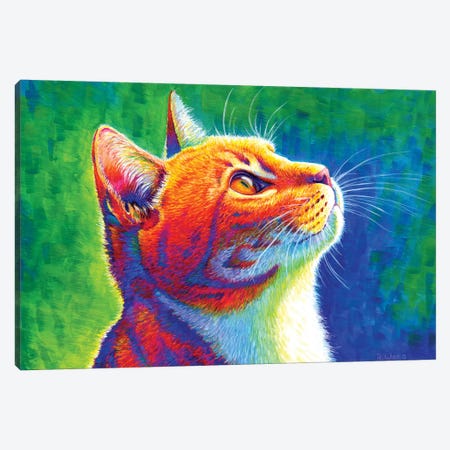 Anticipation - Rainbow Tabby Cat Canvas Print #RBW1} by Rebecca Wang Canvas Art Print