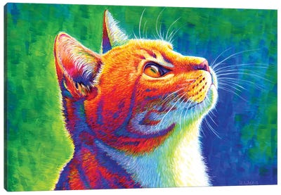 Anticipation - Rainbow Tabby Cat Canvas Art Print - Green Art