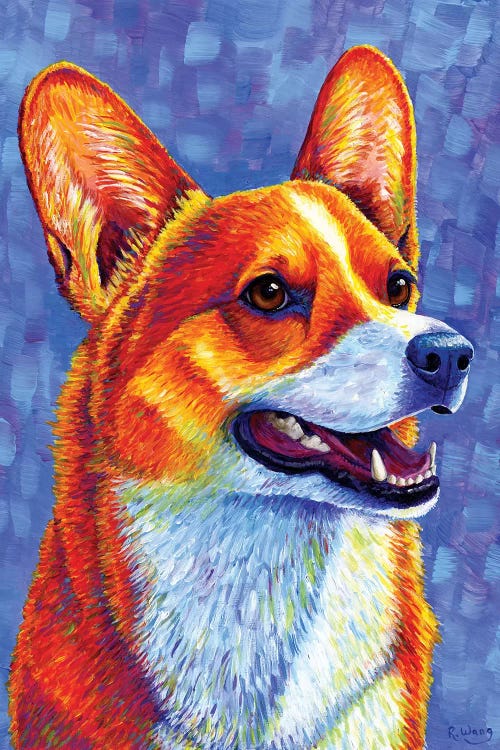 Mischief Maker - Pembroke Welsh Corgi