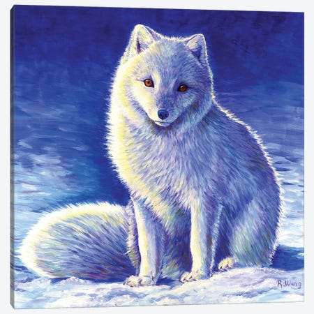 Peaceful Winter - Arctic Fox Canvas Print #RBW22} by Rebecca Wang Canvas Art Print