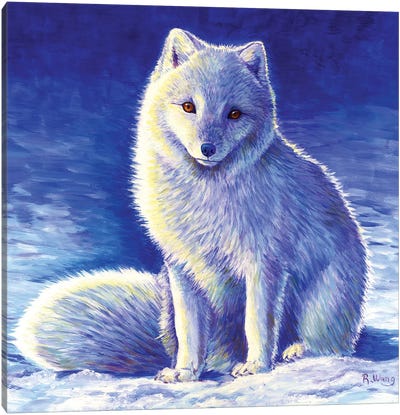 Peaceful Winter - Arctic Fox Canvas Art Print - Rebecca Wang