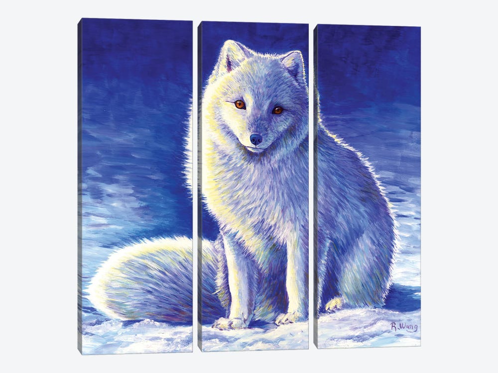 Peaceful Winter - Arctic Fox by Rebecca Wang 3-piece Canvas Print