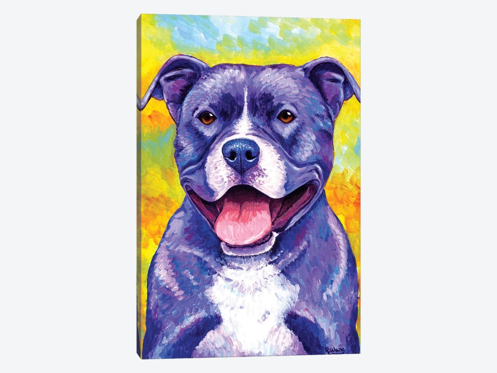 Peppy Pitbull Dog Canvas Print By Rebecca Wang Icanvas