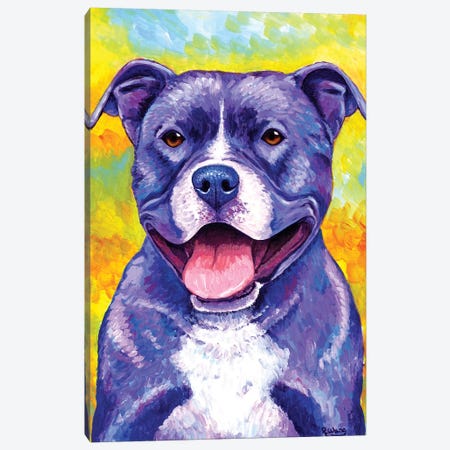 Peppy Pitbull Dog Canvas Print #RBW23} by Rebecca Wang Art Print