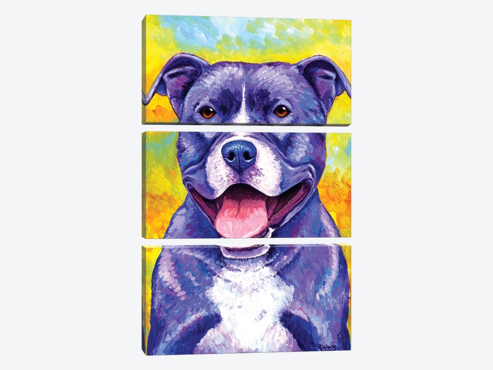 Peppy Pitbull Dog by Rebecca Wang 3-piece Canvas Wall Art