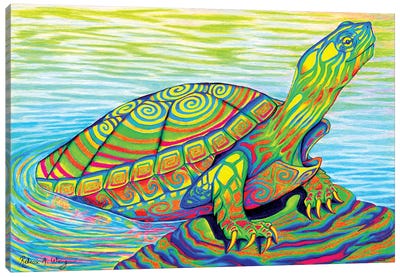 Psychedelic Neon Painted Turtle Canvas Art Print - Turtle Art