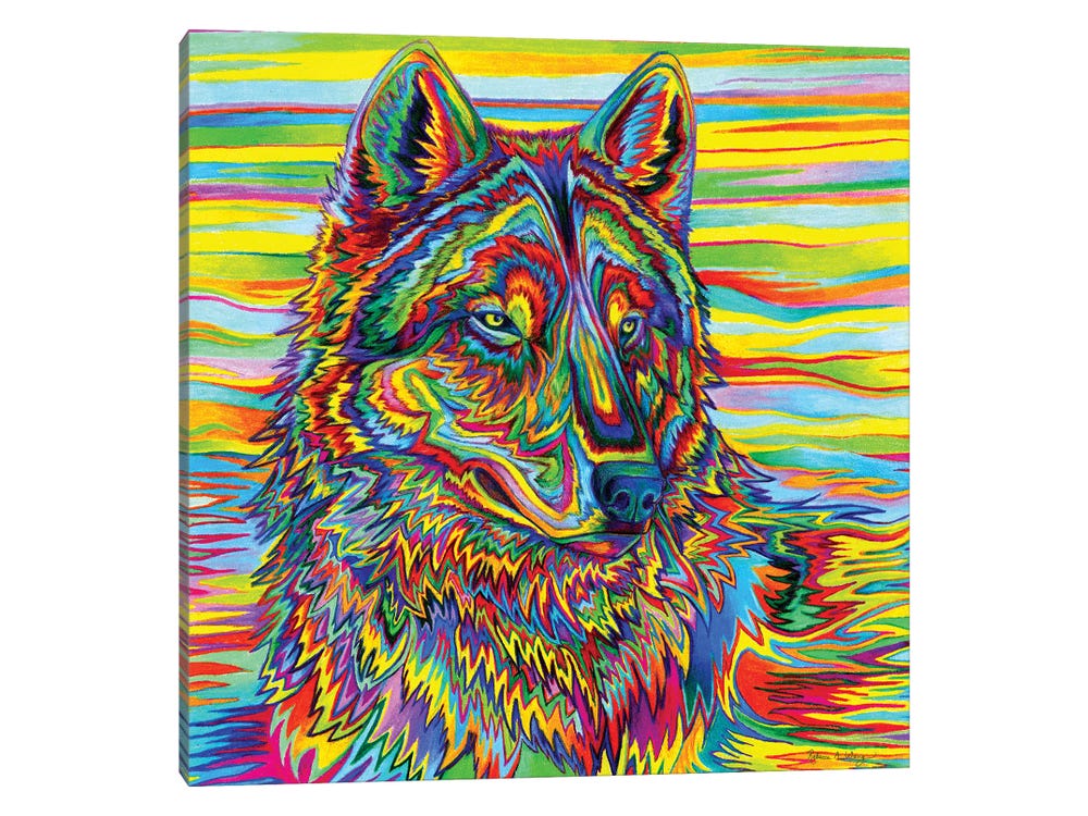 Finished Rainbow Wolf Diamond Painting 