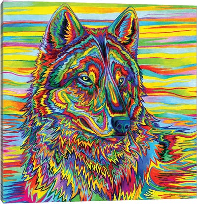 Psychedelic Wolf Canvas Art Print - Wolf Art
