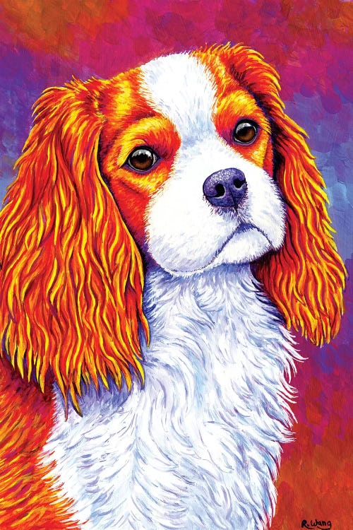 Autumn Delight - Cavalier King Charles Spaniel