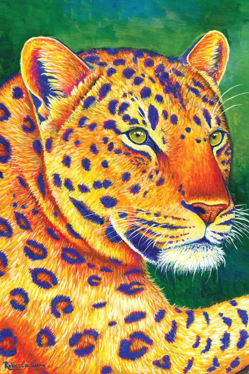 Queen of the Jungle - Leopard