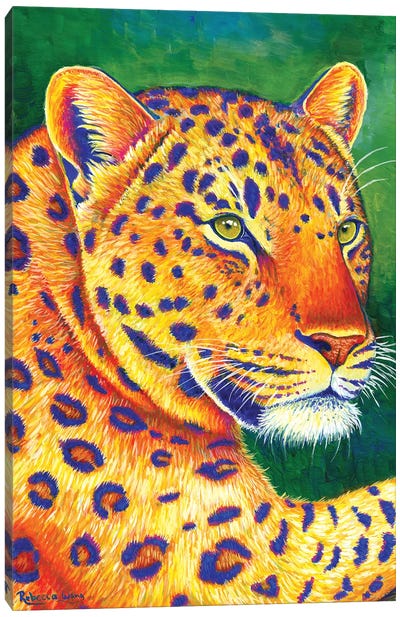 Queen of the Jungle - Leopard Canvas Art Print - Chromatic Kingdom