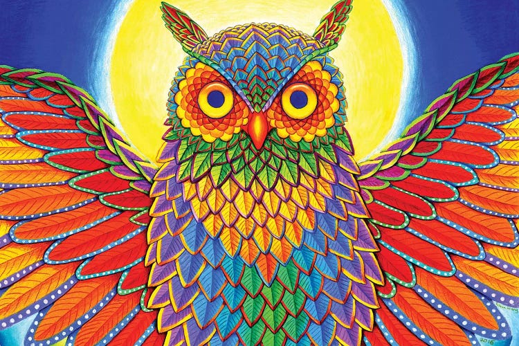 Rainbow Owl