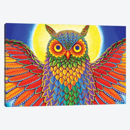 Rainbow Owl Canvas Print #RBW32} by Rebecca Wang Canvas Art