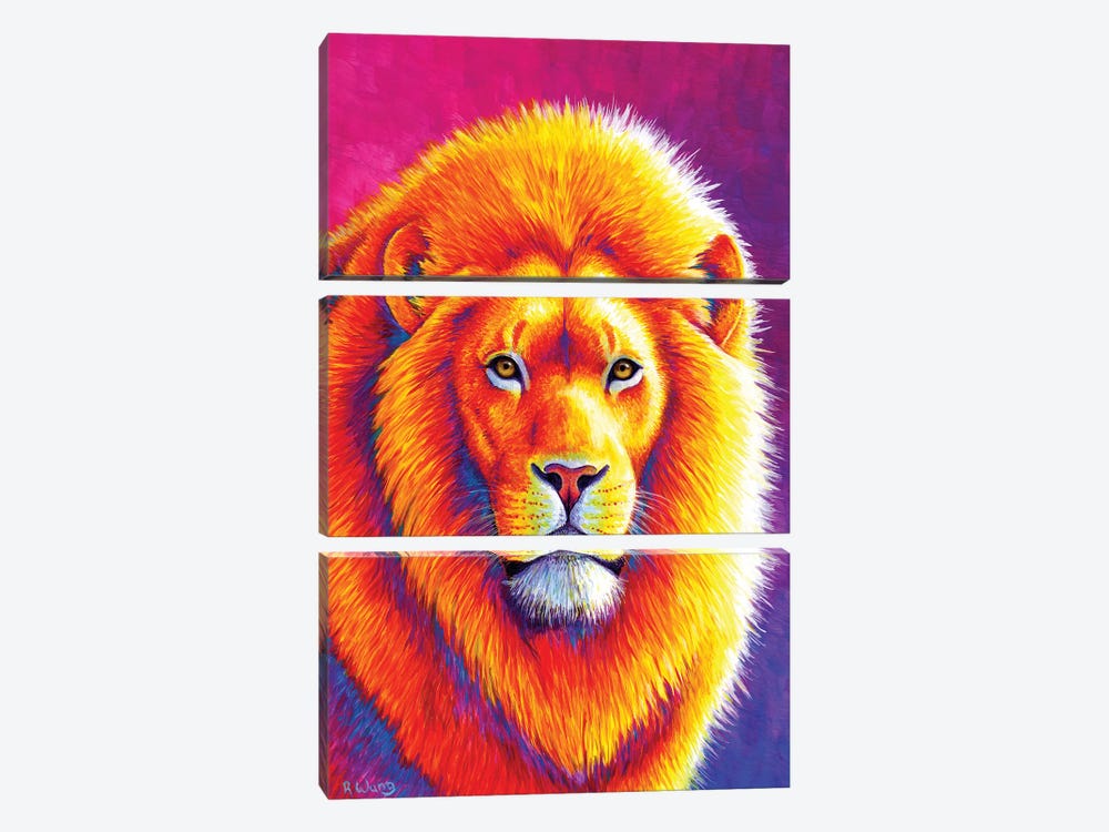 Sunset on the Savanna African Lion by Rebecca Wang 3-piece Canvas Art Print