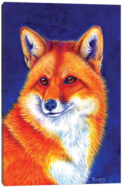 Vibrant Flame - Red Fox Canvas Art Print - Rebecca Wang